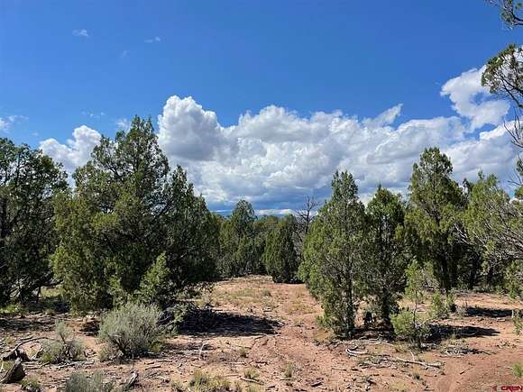 4.78 Acres of Residential Land for Sale in Durango, Colorado