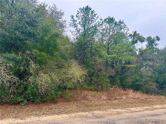 0.34 Acres of Residential Land for Sale in Citrus Springs, Florida