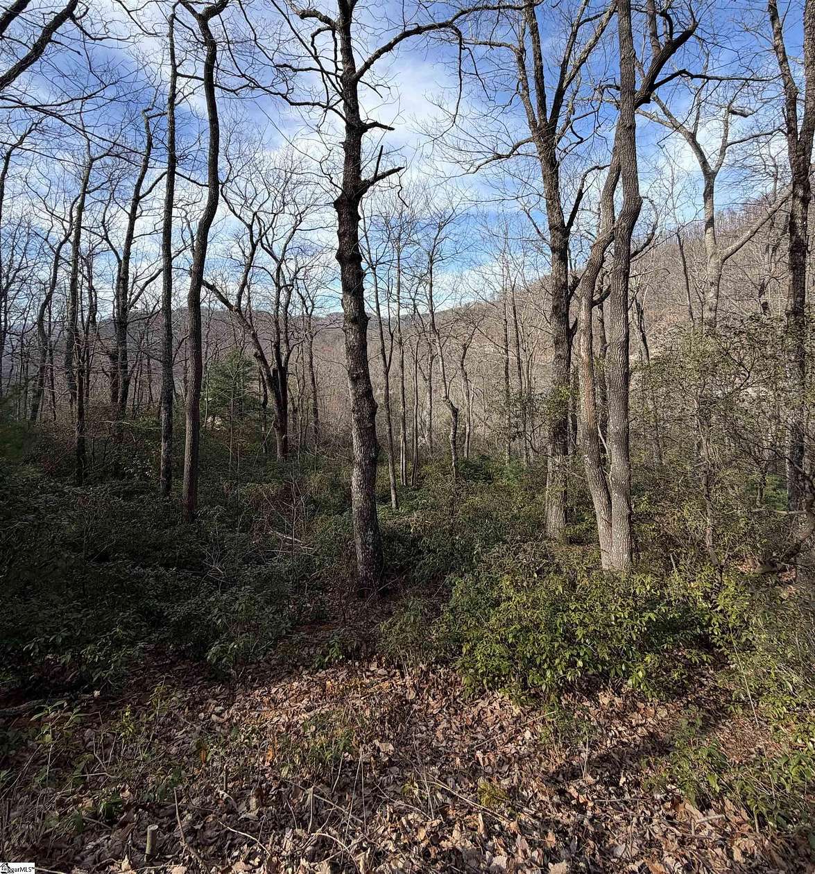 0.84 Acres of Residential Land for Sale in Travelers Rest, South Carolina