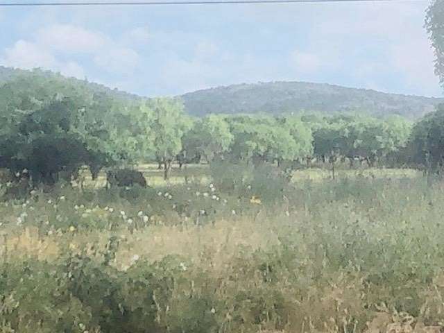 0.5 Acres of Residential Land for Sale in Kingsland, Texas