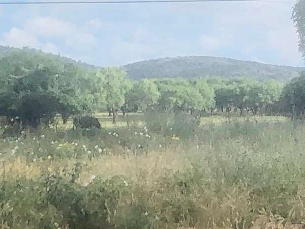 0.5 Acres of Residential Land for Sale in Kingsland, Texas