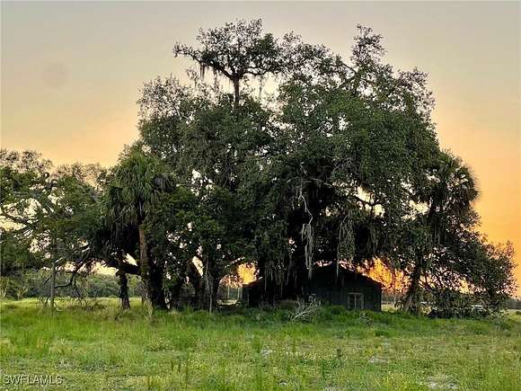 54.09 Acres of Agricultural Land for Sale in LaBelle, Florida