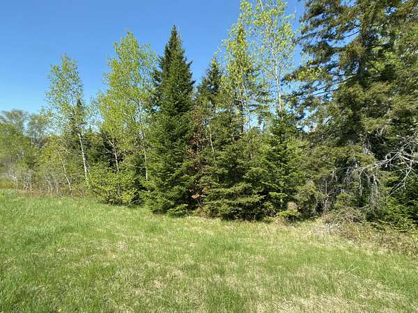 35.7 Acres of Land for Sale in Cyr Plantation, Maine