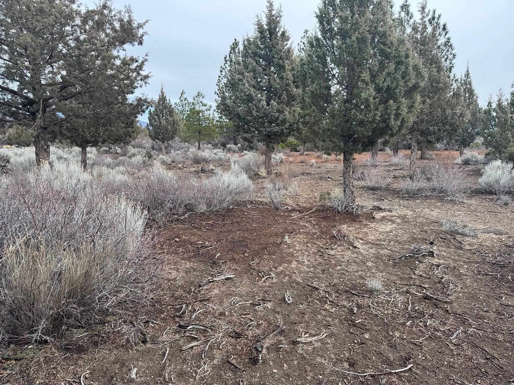 0.23 Acres of Residential Land for Sale in Weed, California