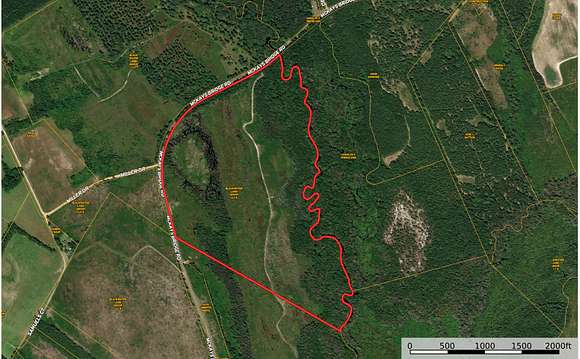 159 Acres of Recreational Land for Sale in Little Rock, South Carolina