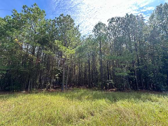 60 Acres of Recreational Land & Farm for Sale in Haleyville, Alabama