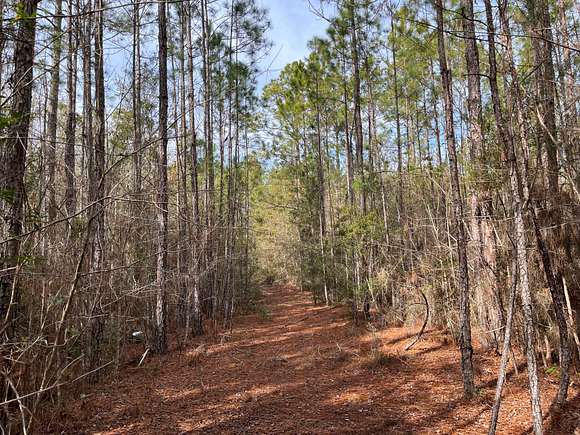 130.45 Acres of Recreational Land for Sale in Nahunta, Georgia