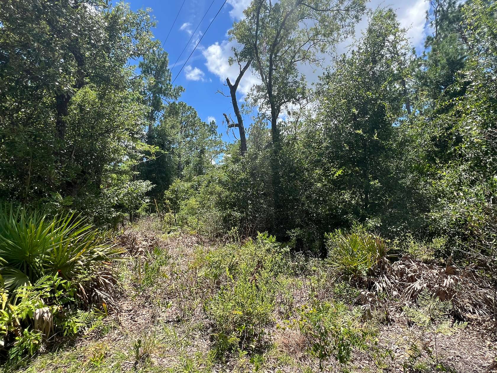 0.96 Acres of Residential Land for Sale in Old Town, Florida