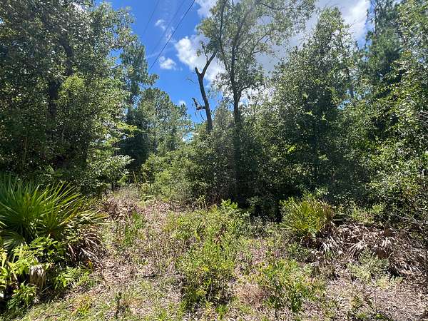 0.96 Acres of Residential Land for Sale in Old Town, Florida