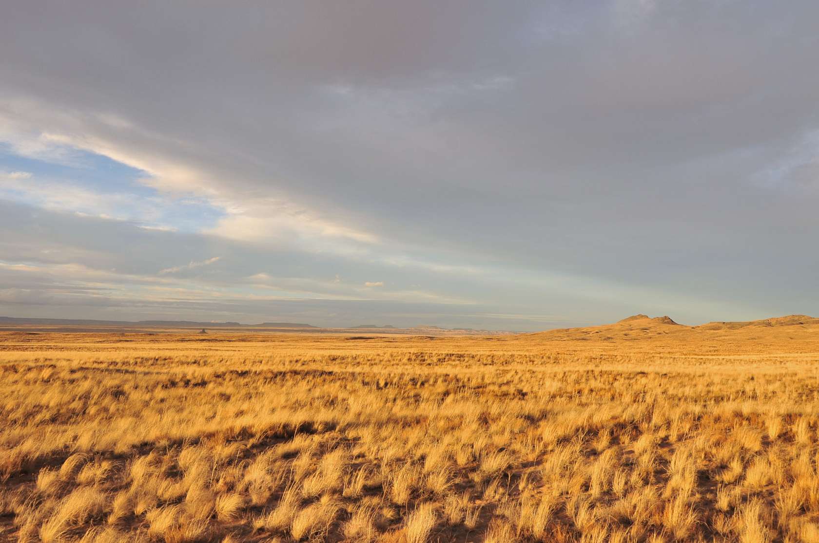 1.25 Acres of Residential Land for Sale in Holbrook, Arizona