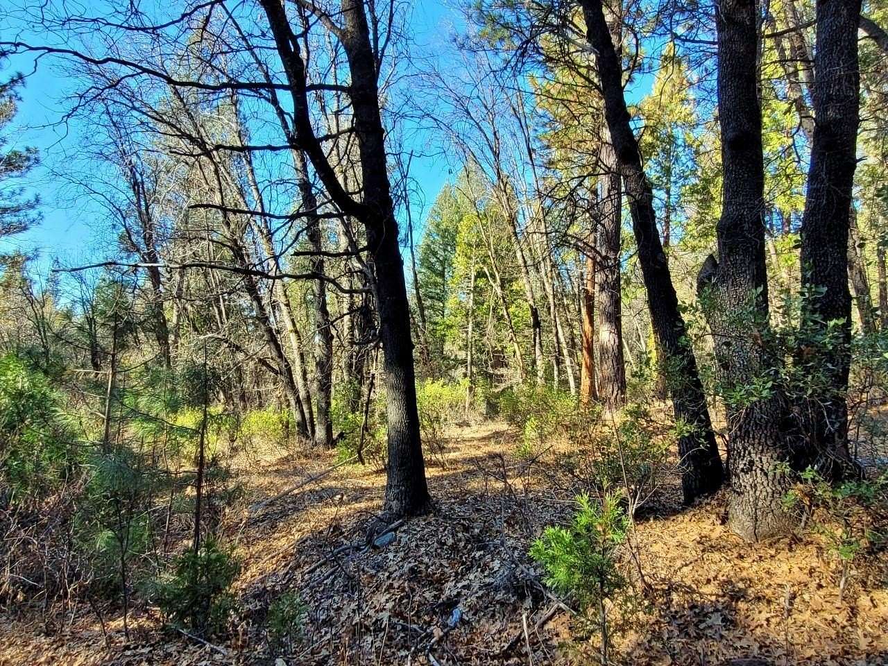 6 Acres of Land for Sale in Blairsden, California