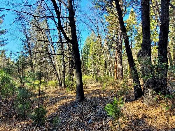 6 Acres of Land for Sale in Blairsden, California