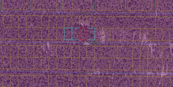0.23 Acres of Residential Land for Sale in DeFuniak Springs, Florida