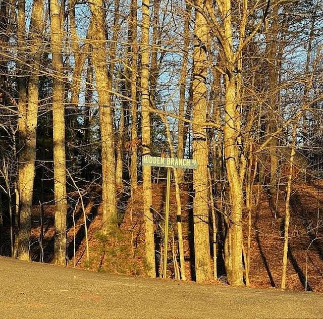 1.34 Acres of Residential Land for Sale in Young Harris, Georgia