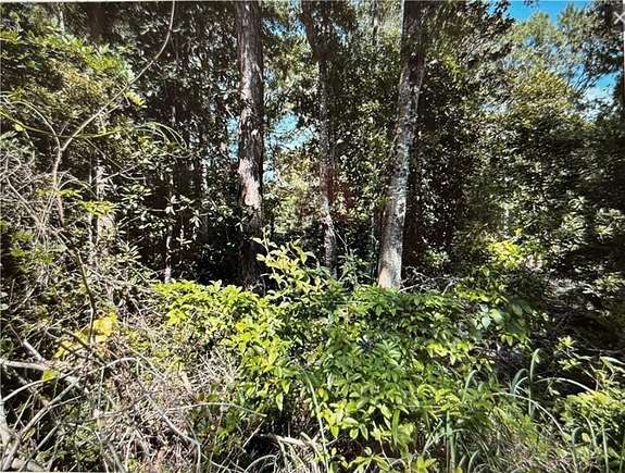 0.187 Acres of Residential Land for Sale in Coden, Alabama