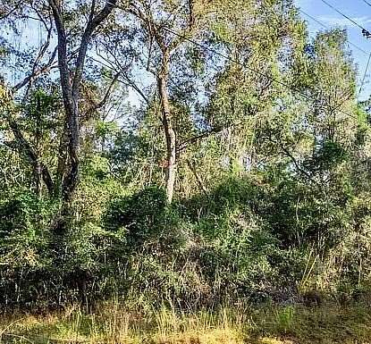 0.12 Acres of Land for Sale in Poplarville, Mississippi