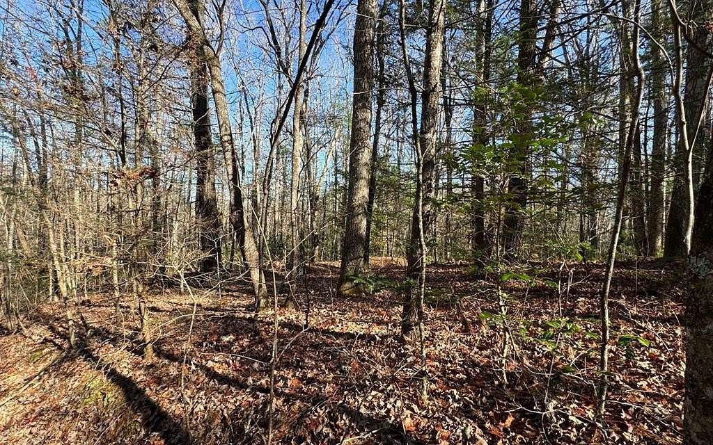 8.14 Acres of Land for Sale in Blue Ridge, Georgia