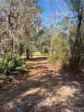 5.36 Acres of Land for Sale in Hernando, Florida