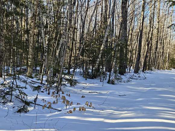 45 Acres of Recreational Land for Sale in Brownville, Maine