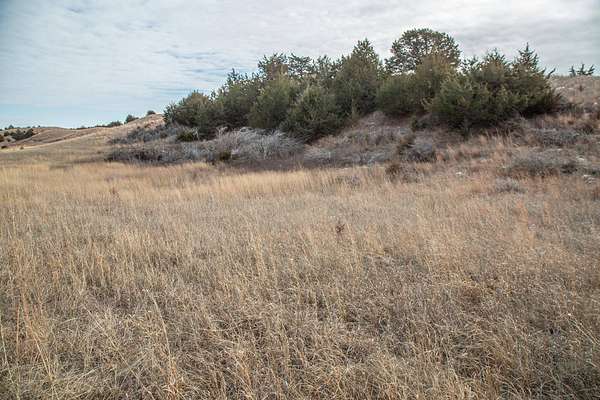 5.48 Acres of Recreational Land for Sale in Burwell, Nebraska