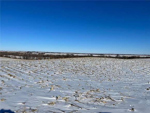 135.84 Acres of Agricultural Land for Auction in Glenwood, Minnesota