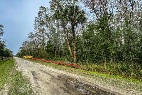 1.14 Acres of Land for Sale in Hastings, Florida