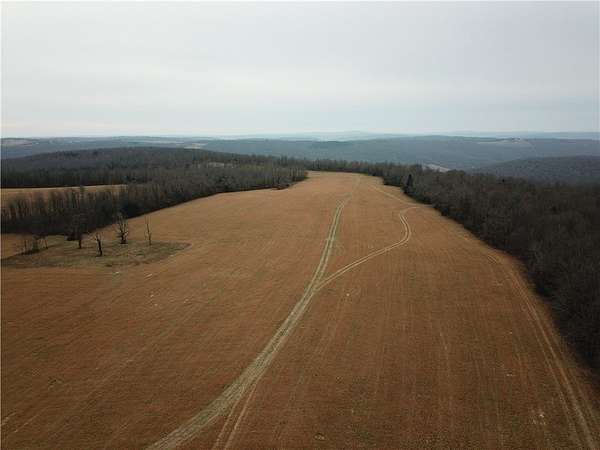 176 Acres of Land for Sale in Leslie, Arkansas