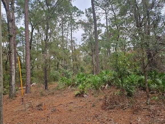 0.9 Acres of Land for Sale in Chiefland, Florida