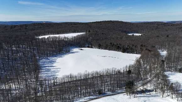 44.22 Acres of Recreational Land & Farm for Sale in Marathon, New York