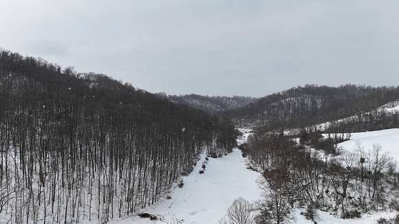 129.17 Acres of Recreational Land & Farm for Auction in Jane Lew, West Virginia