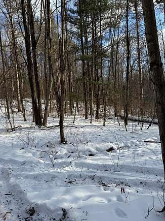 40.8 Acres of Recreational Land for Sale in Harpursville, New York