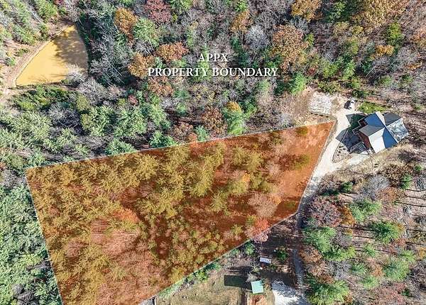 Residential Land for Sale in Morganton, Georgia