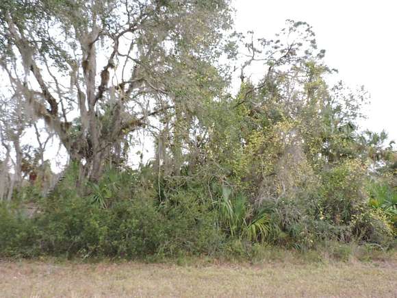 0.23 Acres of Residential Land for Sale in Port Charlotte, Florida