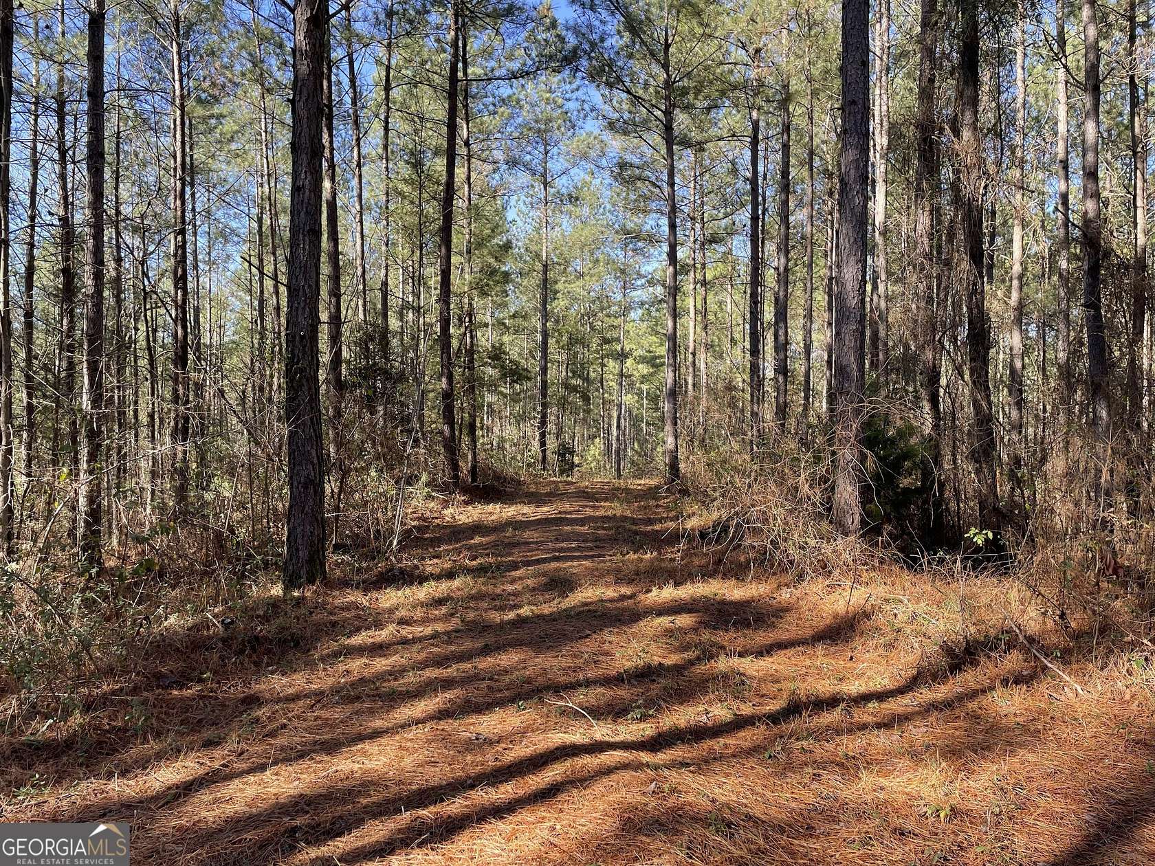 34 Acres of Recreational Land for Sale in Dawsonville, Georgia