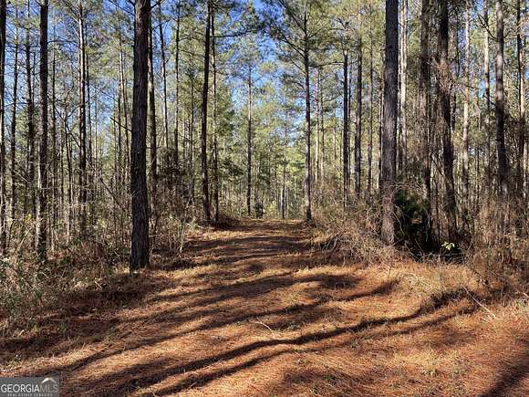 228.39 Acres of Land for Sale in Dawsonville, Georgia