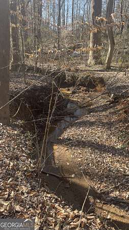 0.9 Acres of Residential Land for Sale in Lavonia, Georgia