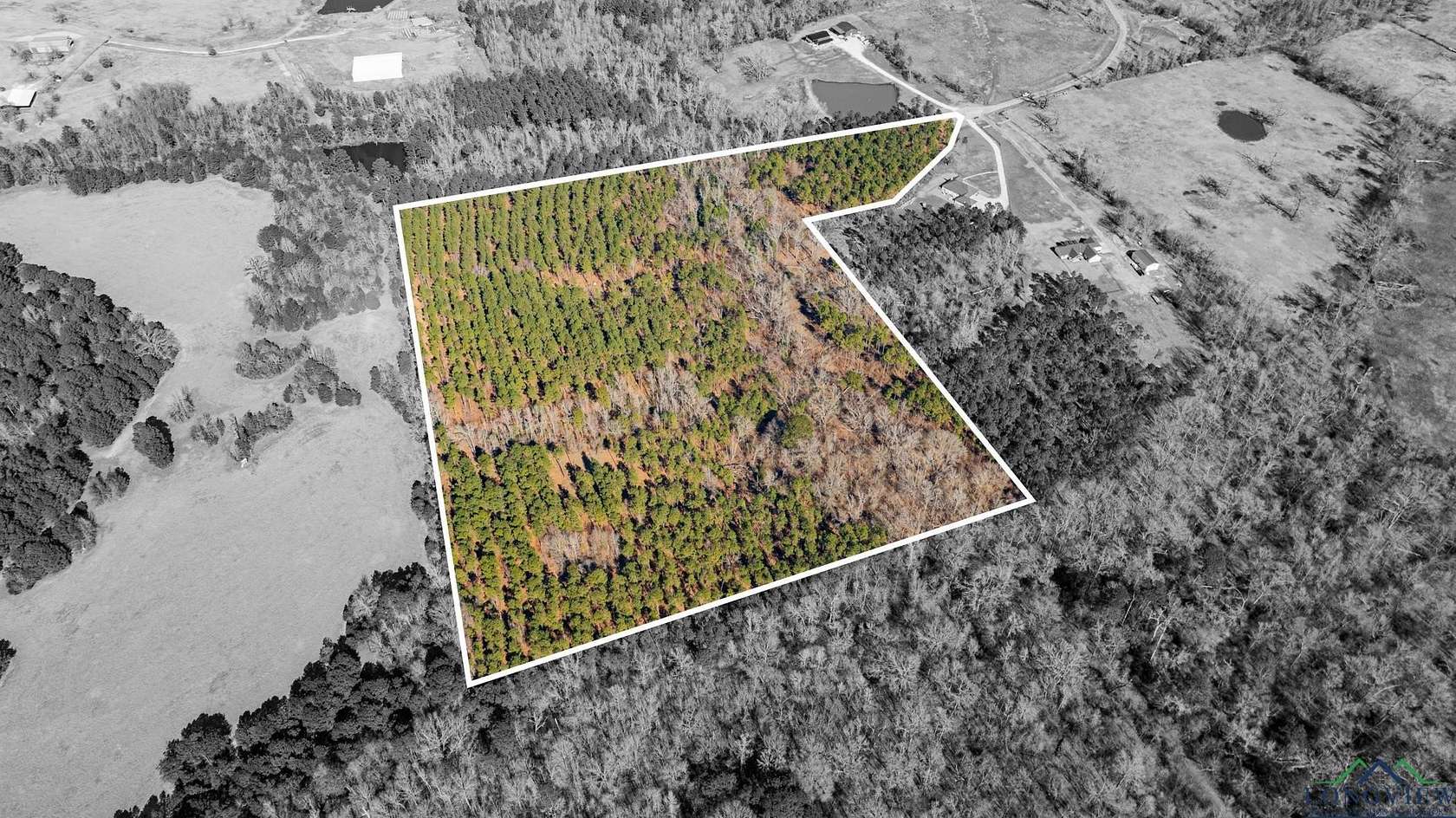24.2 Acres of Land for Sale in Ashland, Texas