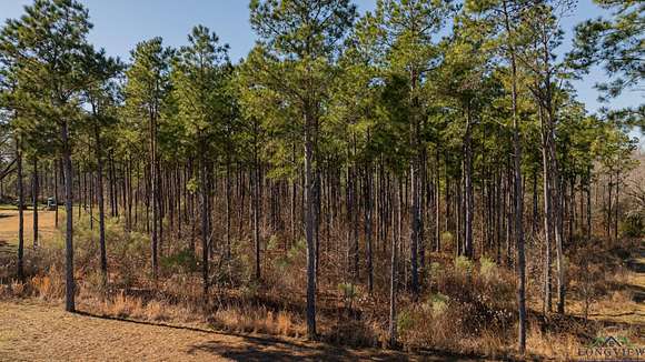 24.16 Acres of Land for Sale in Ashland, Texas