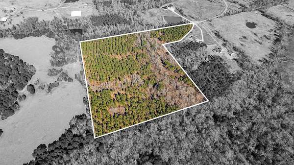 24.2 Acres of Recreational & Residential Land for Sale in Ashland, Texas