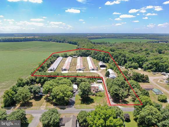 8.24 Acres of Land with Home for Sale in Laurel, Delaware