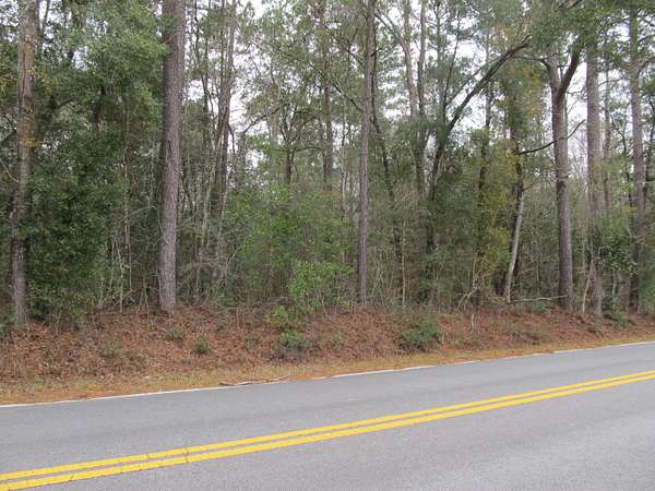 10 Acres of Land for Sale in Ponce de Leon, Florida