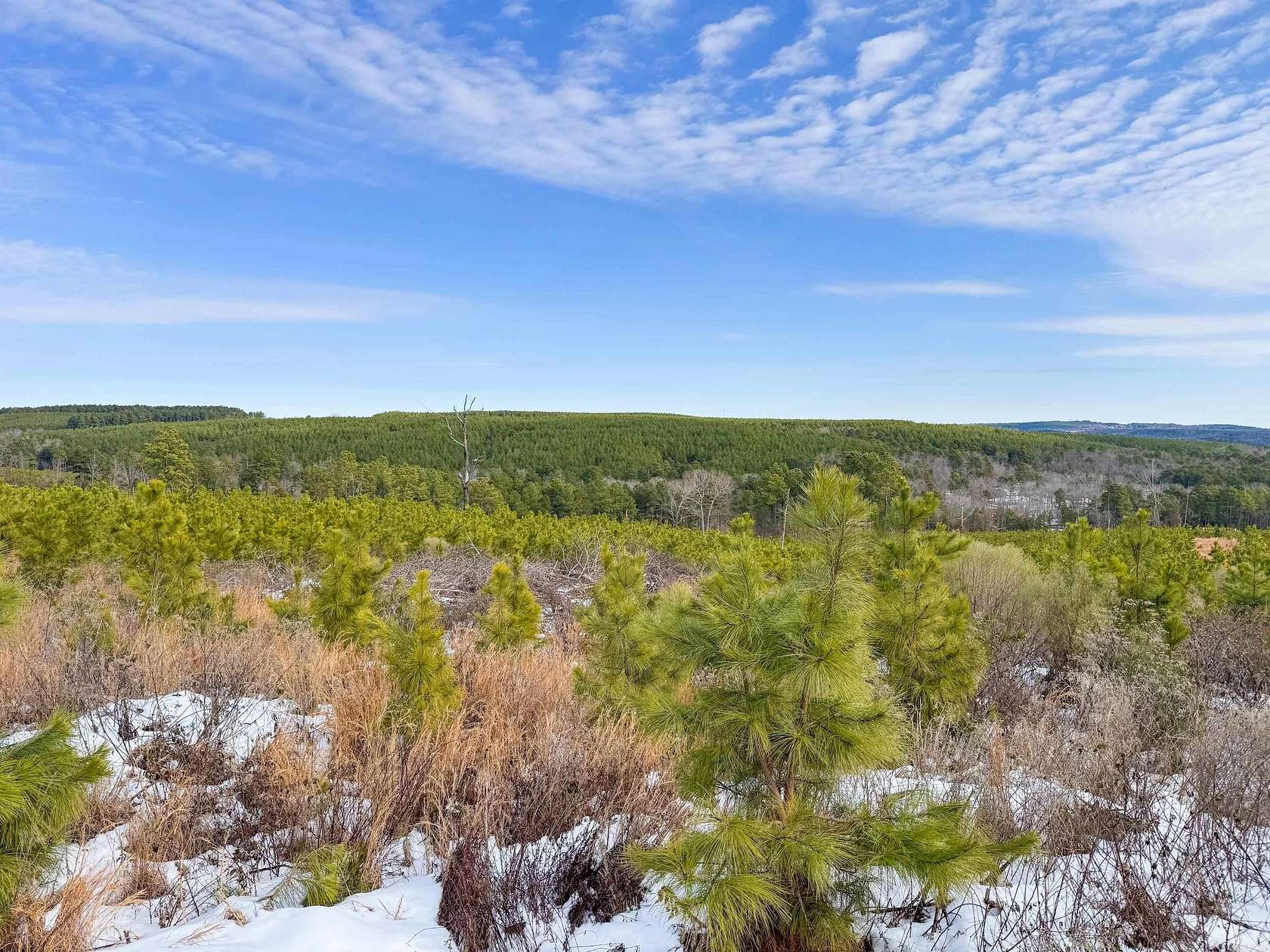 32.5 Acres of Recreational & Residential Land for Sale in Quitman, Arkansas