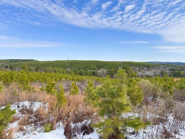 32.5 Acres of Recreational & Residential Land for Sale in Quitman, Arkansas