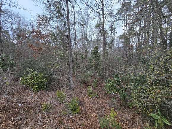 1.1 Acres of Residential Land for Sale in Graniteville, South Carolina