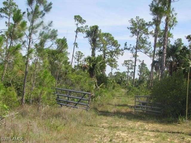 19.6 Acres of Land for Sale in North Fort Myers, Florida