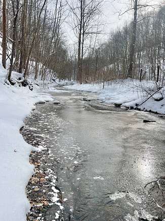 27 Acres of Recreational Land for Auction in Ripley, West Virginia