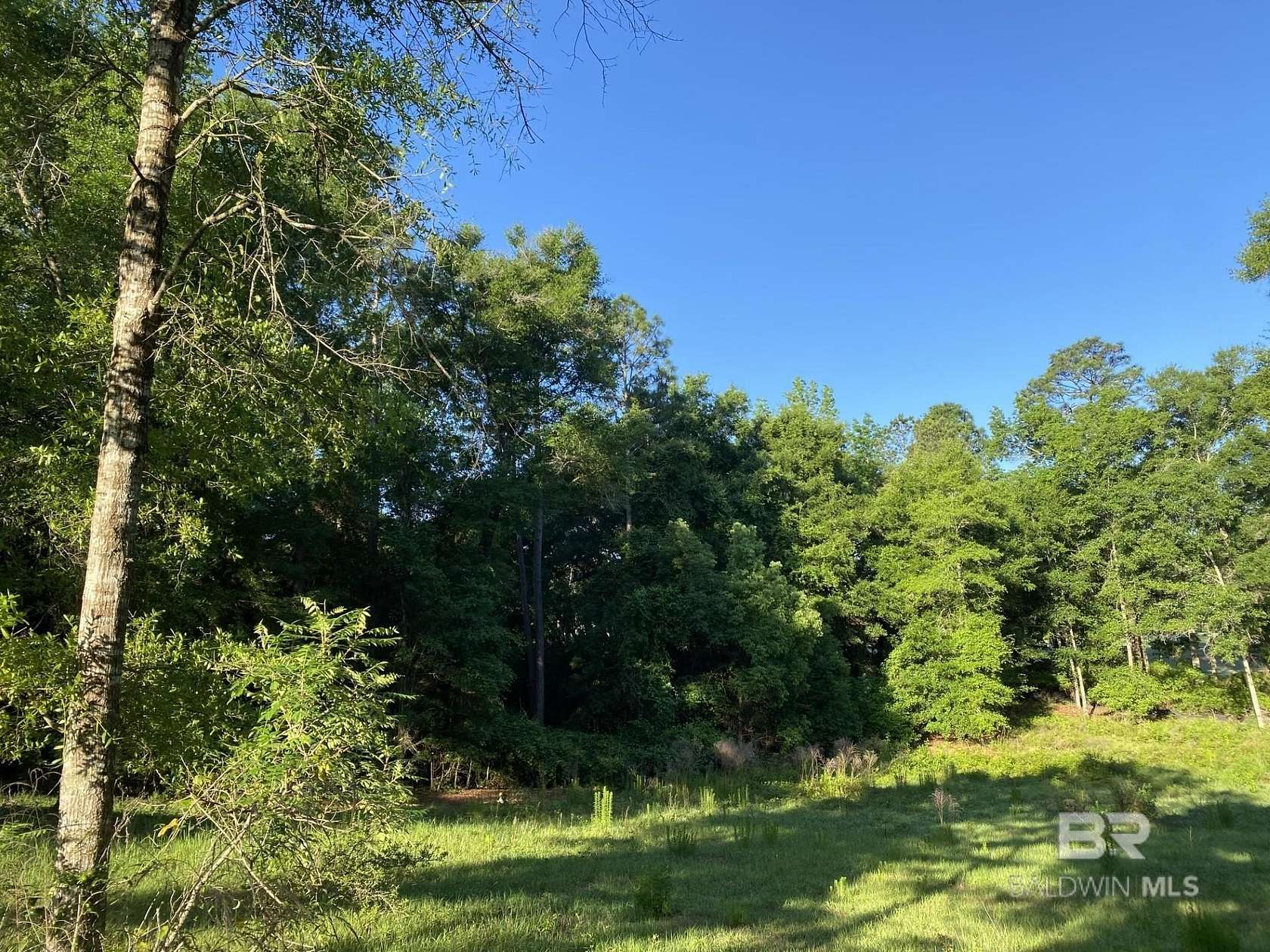 0.55 Acres of Residential Land for Sale in Fairhope, Alabama