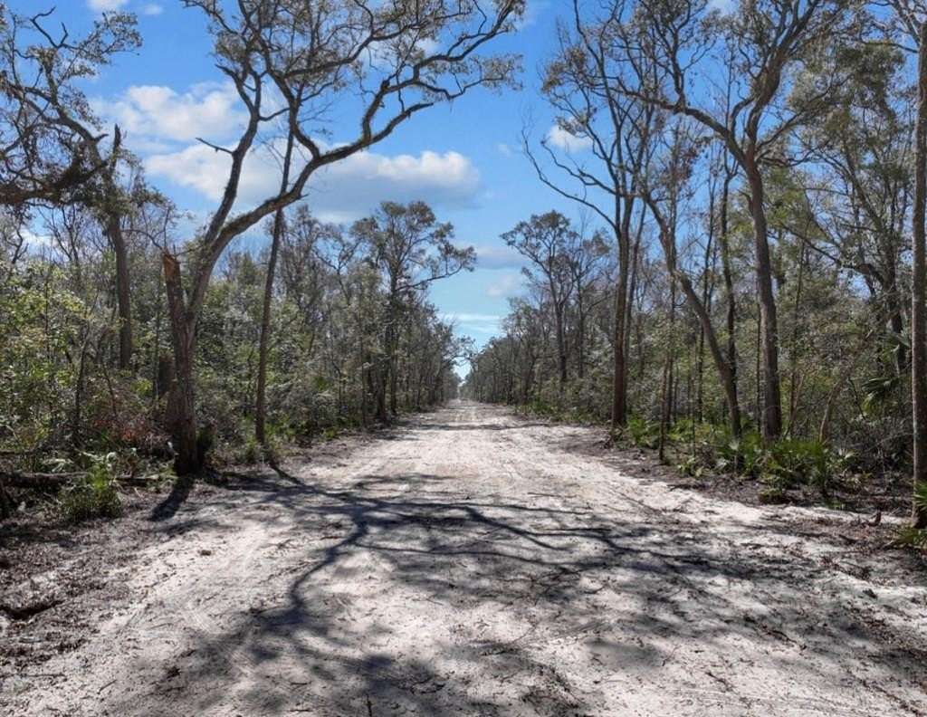 10 Acres of Land for Sale in Old Town, Florida