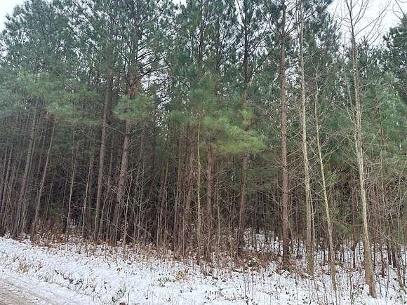 3.634 Acres of Residential Land for Sale in Heathsville, Virginia