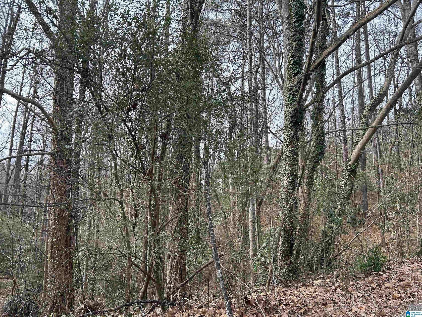 0.53 Acres of Residential Land for Sale in Birmingham, Alabama